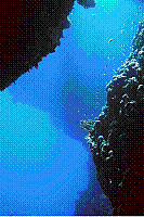 DSC09772 copie.JPG