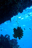 DSC09776 copie.JPG