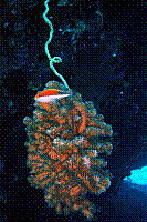 DSC09777 copie.JPG