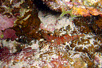 DSC09790 copie.JPG