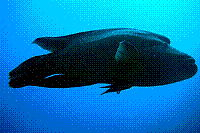 DSC09805 copie.jpg