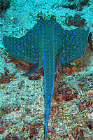 DSC09807 copie.JPG
