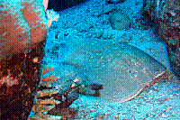 DSC09819 copie.JPG
