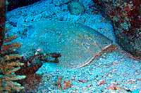 DSC09820 copie.JPG
