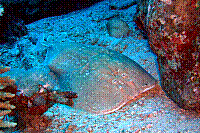 DSC09822 copie.jpg