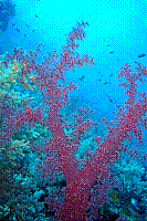 DSC09827 copie.jpg