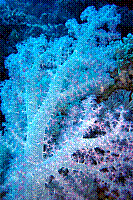 DSC09831.JPG