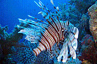 DSC09835 copie.JPG