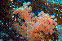 DSC09843 copie.jpg