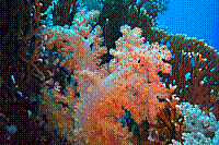 DSC09844 copie.jpg