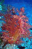 DSC09847 copie.jpg