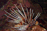 DSC09862 copie.JPG