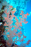 DSC09867 copie.JPG