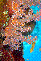 DSC09869 copie.JPG