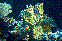 DSC09871 copie.jpg