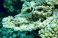 DSC09879 copie.JPG