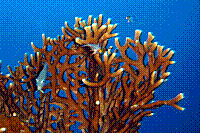 DSC09419 copie.jpg