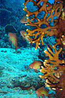 DSC09427 copie.JPG