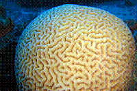 DSC09439 copie.jpg