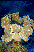 DSC09440 copie.jpg