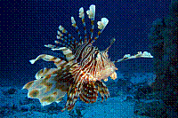 DSC09446 copie.JPG