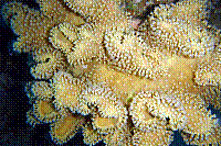 DSC09460 copie.JPG