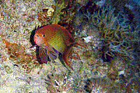 DSC09463 copie.jpg
