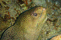 DSC09464 copie.JPG