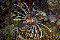 DSC09468 copie.jpg