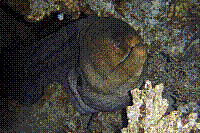 DSC09476 copie.JPG