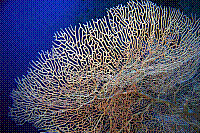 DSC09480 copie.JPG