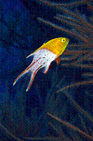 DSC09487 copie.JPG