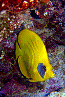DSC09536 copie.JPG