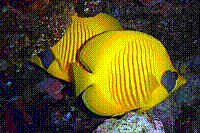 DSC09538 copie.jpg