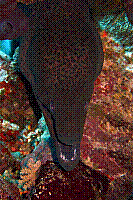 DSC09542 copie.jpg