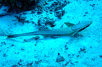DSC09557 copie.jpg