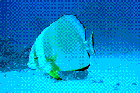 DSC09569 copie.JPG