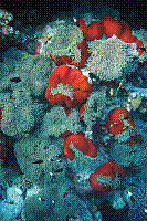 DSC09600 copie.jpg