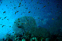 DSC09609 copie.jpg