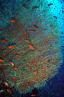 DSC09611 copie.jpg