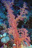 DSC09618 copie.jpg