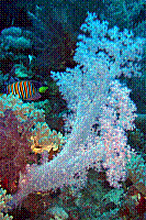 DSC09619 copie.JPG