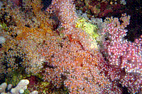 DSC09622 copie.JPG