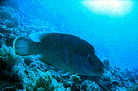 DSC09636 copie.jpg