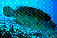 DSC09637 copie.JPG
