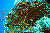 DSC09641 copie.JPG