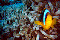 DSC09662.JPG