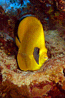 DSC09671 copie.jpg