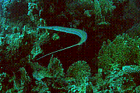 DSC09673 copie.JPG