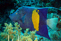 DSC09683 copie.JPG